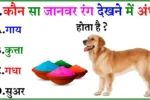 GK Quiz: कौन सा जानवर रंग देखने में अंधा होता है?